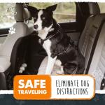 Mighty Paw Adjustable Dog Seat Belt for Cars