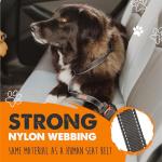 Mighty Paw Adjustable Dog Seat Belt for Cars