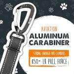 Mighty Paw Adjustable Dog Seat Belt for Cars