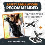 Mighty Paw Adjustable Dog Seat Belt for Cars