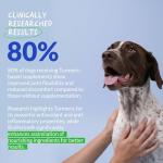 Turmeric Chewable Tablets for Dogs' Joint Support