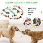 12 Pack Plush Squeaky and Chew Toys for Dogs