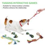 12 Pack Plush Squeaky and Chew Toys for Dogs