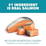 IAMS Proactive Health Indoor Weight Control & Hairball Care Adult Dry Cat Food, Salmon Recipe, 3.5 lb. Bag