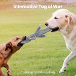 Squeaky Crinkle Dog Toys - No Stuffing, 2 Pack