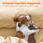 Squeaky Crinkle Dog Toys - No Stuffing, 2 Pack