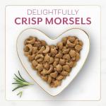 Fancy Feast Dry Cat Food Filet Mignon with Seafood