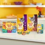 Meow Mix Original Choice Dry Cat Food, 3.15 Pound (Pack of 4)