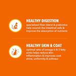 IAMS Proactive Health Chicken Dry Cat Food 3.5 lb