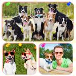 Roowest 50 Pcs Blank Dog Pet Tags for Engraving 38mm Aluminum Bone Shape Name Tag Colorful Double Sided Dog Cat Phone Number Pendants