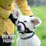 Gentle Muzzle Guard for Dogs - Prevents Biting and Unwanted Chewing Safely – New Secure Comfort Fit - Soft Neoprene Padding – No More Chafing – Training Guide Helps Build Bonds with Pet (M, Pink)