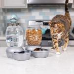 Petmate Replendish Automatic Gravity Waterer for Cats and Dogs, BPA-Free, No Batteries Required, Includes Charcoal Filter, 0.5 Gallon,Silver