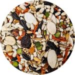 Conure & Lovebird Seed Mix - 4 lbs