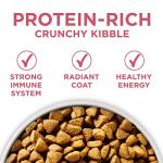 Purina ONE Sensitive Stomach Dry Dog Food 31.1 lb