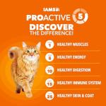 IAMS Proactive Health Chicken Dry Cat Food, 7 lbs