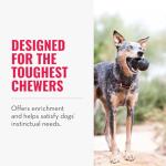 KONG Extreme Dog Toy for Heavy Chewers