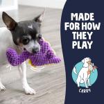 goDog Checkers Just for Me Dinos Bruto Squeaky Plush Dog Toy, Chew Guard Technology - Purple, Mini