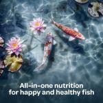 Kaytee Koi's Choice Floating Fish Food, 3 lbs