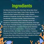 GloFish Special Flake Food for Fish, 3.17 Ounces, Treat GloFish and Small to Mid-Sized Tropical Freshwater Fish to a Nutritionally Complete Blend