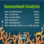 GloFish Special Flake Food for Fish, 3.17 Ounces, Treat GloFish and Small to Mid-Sized Tropical Freshwater Fish to a Nutritionally Complete Blend