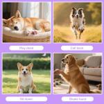 ZeriLion 2 Pack Dog Whistle for Barking Control & Recall Training - Adjustable Ultrasonic Silent Whistle with Lanyard for All Dogs, Professional Pet Whistle Neighbor Dog Solution & Deaf Pet Aid