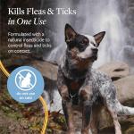 Flea and Tick Spray for Dogs, 8 oz