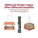 Kaytee Finch Food Blend for Wild Birds, 5 lb