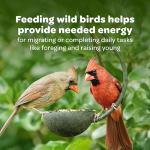 Kaytee Finch Food Blend for Wild Birds, 5 lb