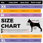 Cozy Turtleneck Sweater for Small Dogs