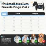 Cute Bear Dog Sweater for Small Pets