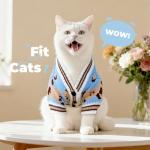 Cute Bear Dog Sweater for Small Pets