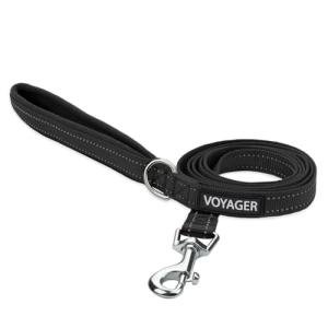 Best Pet Supplies Voyager Reflective Dog Leash or Collar with Neoprene Handle, for Small, Medium, and Large Breed Puppies, Cute and Heavy Duty for Walking, Running and Training - Black (Leash), S