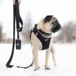 Best Pet Supplies Voyager Reflective Dog Leash or Collar with Neoprene Handle, for Small, Medium, and Large Breed Puppies, Cute and Heavy Duty for Walking, Running and Training - Black (Leash), S