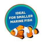 Hikari Marine-S Pellets Fish Food for Smaller Marine Fish