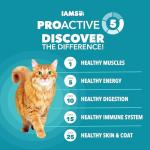 IAMS ProActive Health Indoor Cat Food, 7 lb