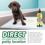 Bodhi Dog Potty Training Spray - Puppy & Dog Training Aid for Indoor & Outdoor Attractant Spray Use - Encourages Proper Dog Pee Here Habits - Safe for Pets & Home - Made in The USA (8 Fl Oz)