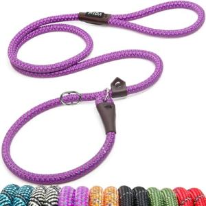 Fida 6FT Reflective Slip Lead Dog Leash