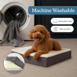 Memory Foam Orthopedic Dog Bed for Small Dogs