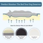 Memory Foam Orthopedic Dog Bed for Small Dogs