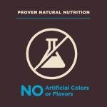 Wellness CORE Digestive Health Dry Dog Food