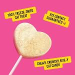 Purrpops Lollipop Cat Treats, Lip Smacking Salmon Flavor, 3 Pack | (4 Count)