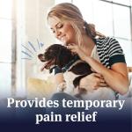 PetArmor Aspirin for Small Dogs - Pain Relief Tablets
