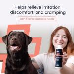 Vets Preferred Dog Diarrhea Relief Liquid - 8 oz