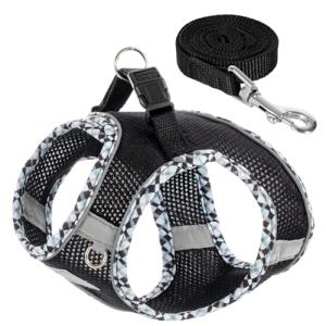 TomteNisse Dog Harness and Leash Set, No Pull Pet Harness for Small Dogs Easy Walking,Soft Breathable Small Dog Harness,Adjustable Reflective Step in Vest Harness for Puppy,Kitten, Cats