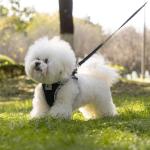 TomteNisse Dog Harness and Leash Set, No Pull Pet Harness for Small Dogs Easy Walking,Soft Breathable Small Dog Harness,Adjustable Reflective Step in Vest Harness for Puppy,Kitten, Cats