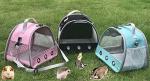 Guinea Pig Carrier Backpack, Clear Bubble Window Backpack for Guinea Pig, Bunny Rat Bird (Black, Carrier)