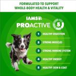 IAMS Proactive Health Adult Minichunks Dry Dog Food Chicken & Whole Grain Recipe, 30 lb. Bag