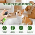 Fancy Pets Potty Training Spray for Dogs, Dog Training Spray, Address Canine Inappropriate Elimination Habits for Indoor and Outdoor Environments, 120ml