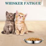 4Packs Cat-Bowls Cat Food Bowl - 6.1 Inch Stainless Steel Cats Feed Bowl for Indoor Cats Shallow and Wide Wet Food Plate Pet Feeding Whisker Fatigue Relief Pet Plate for Kitten Puppy (Type-B)