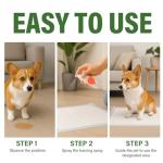 Fancy Pets Potty Training Spray for Dogs, Dog Training Spray, Address Canine Inappropriate Elimination Habits for Indoor and Outdoor Environments, 120ml